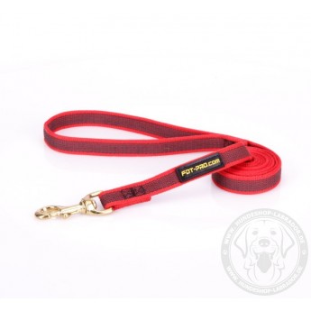 Dog Lead Made of Nylon for Labrador in Red