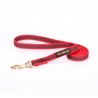 Dog Lead Made of Nylon for Labrador in Red