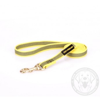 Dog Lead Made of Nylon for Labrador in Yellow