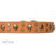 FDT Artisan Leather Dog Collar with Brass Decorations