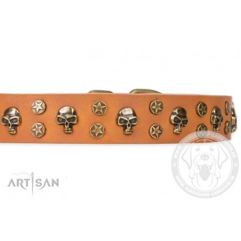 FDT Artisan Leather Dog Collar with Brass Decorations