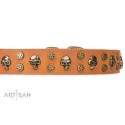 FDT Artisan Leather Dog Collar with Brass Decorations