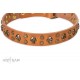 FDT Artisan Leather Dog Collar with Brass Decorations