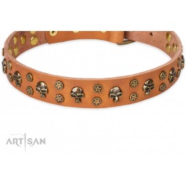 FDT Artisan Leather Dog Collar with Brass Decorations