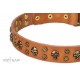 FDT Artisan Leather Dog Collar with Brass Decorations