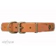 FDT Artisan Leather Dog Collar with Brass Decorations