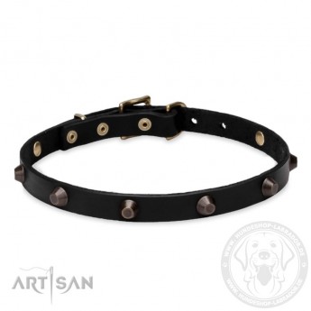 "Age of Style" 20 mm breites Designer Leather Dog Collar FDT Artisan