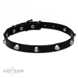 Elegant Labrador Retriever Collar with Crome-Plated Pyramids