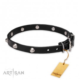 Elegant Labrador Retriever Collar with Crome-Plated Pyramids