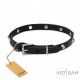 Elegant Labrador Retriever Collar with Crome-Plated Pyramids