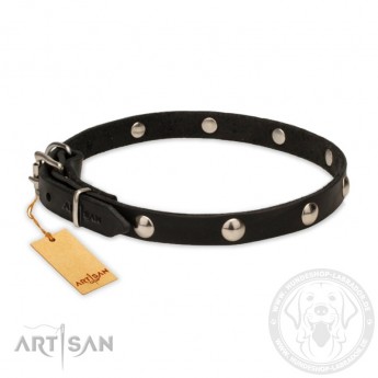 Soft Leather Dog Collar with 1 Row Nickel Studs