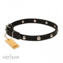 Labrador Collar of Soft Leather with Nickel Studs