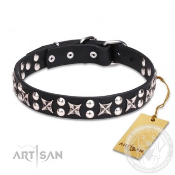 "Planets and Stars"  Leather Dog Collar 30 mm by FDT Artisan