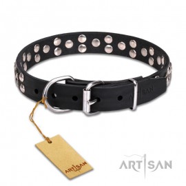 "Planets and Stars"  Leather Dog Collar 30 mm by FDT Artisan