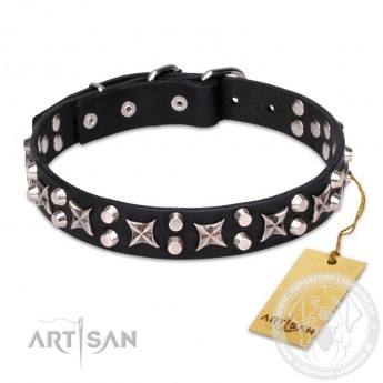 "Shining Stars"  Leather Dog Collar 30 mm for Labrador