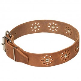 Leather Dog Collar with Nickel Decoration