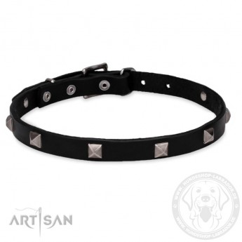 "Modern Style"  Leather Dog Collar 20 mm by FDT Artisan