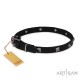 "Modern Style"  Leather Dog Collar 20 mm by FDT Artisan