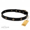 Leather Dog Collar with Brass Pyramids