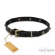 Leather Dog Collar with Brass Pyramids