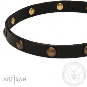 Extra Soft Narrow Leather Dog Collar with 1 Row Brass Studs