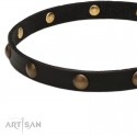 Labrador Collar of Super Soft Leather with Brass Studs