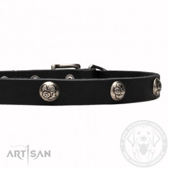 Leather Dog Collar with 1 Row Nickel Studs