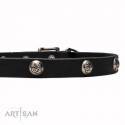 Labrador Collar, Narrow Leather and Spring Style Studs