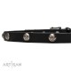 Leather Dog Collar with 1 Row Nickel Studs