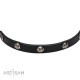 Leather Dog Collar with 1 Row Nickel Studs