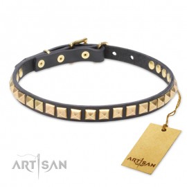 Leather Dog Collar with 1 Row Brass Studs