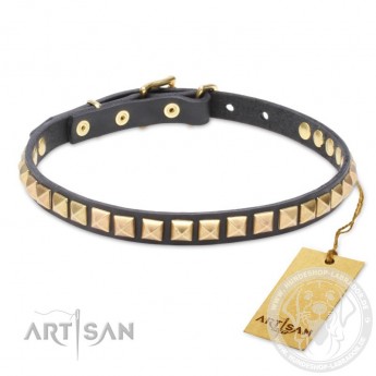 Leather Dog Collar with 1 Row Brass Studs