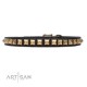 Leather Dog Collar with 1 Row Brass Studs