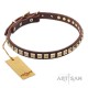 Leather Dog Collar with 1 Row Brass Studs