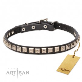 Leather Dog Collar with 1 Row Nickel Studs