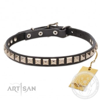 Leather Dog Collar with 1 Row Nickel Studs