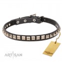 Schönes "King Studs" Halsband aus Leder für Labrador FDT Artisan