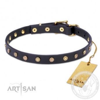 Dog Collar Made of Leather with Brass Decorations