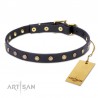 Dog Collar Made of Leather with Brass Decorations