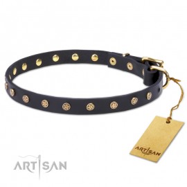 Dog Collar Made of Leather with Brass Decorations