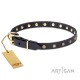 Dog Collar Made of Leather with Brass Decorations