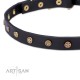 Dog Collar Made of Leather with Brass Decorations
