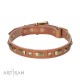 Perfect Leather Dog Collar with Brass Decorations