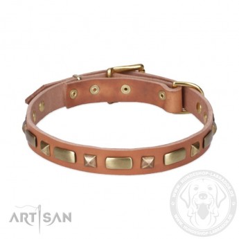 Perfect Leather Dog Collar with Brass Decorations