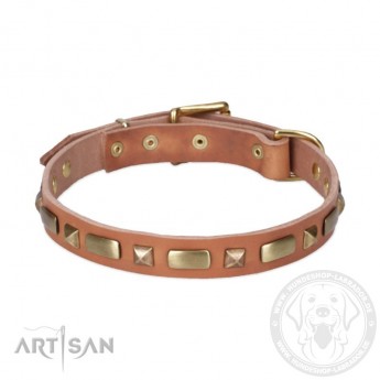 Perfect Leather Dog Collar with Brass Decorations