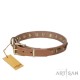 Perfect Leather Dog Collar with Brass Decorations