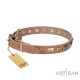 Perfect Leather Dog Collar with Brass Decorations