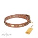 Perfect Leather Dog Collar with Brass Decorations