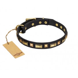 "Golden Elegance" chic Leather Dog Collar FDT Artisan