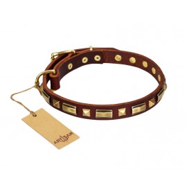 "Golden Elegance" chic Leather Dog Collar FDT Artisan